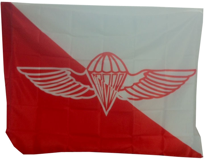 Paratrooper flag